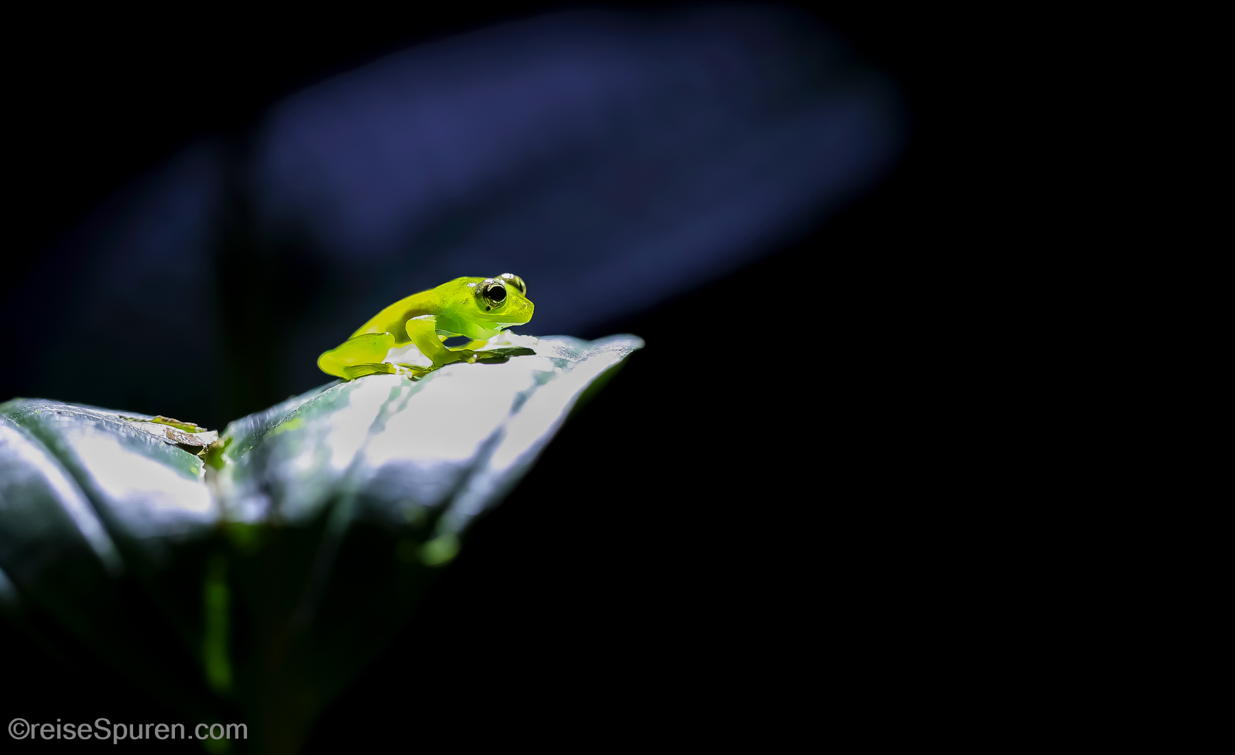 Costa Rica