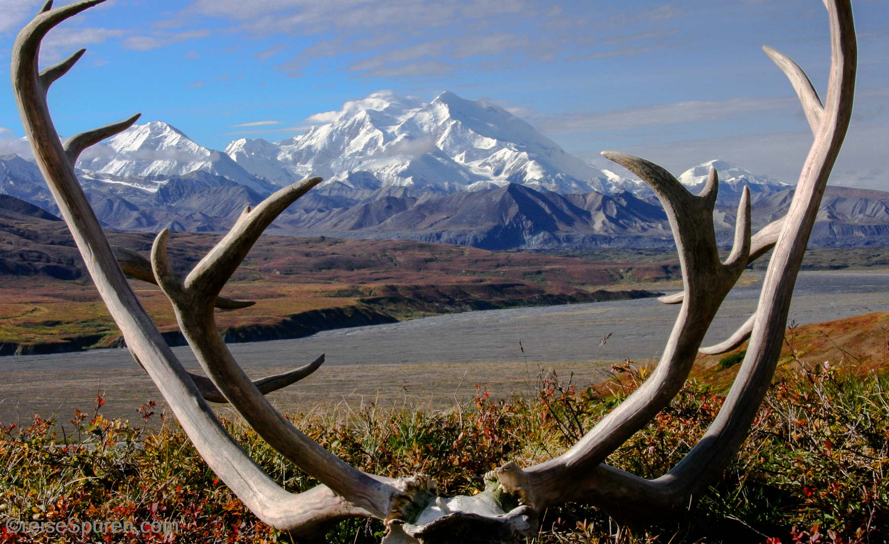 Denali (Mt. McKinley)