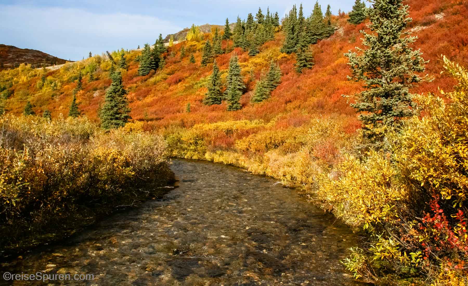 Farbenpracht der Tundra im Herbst