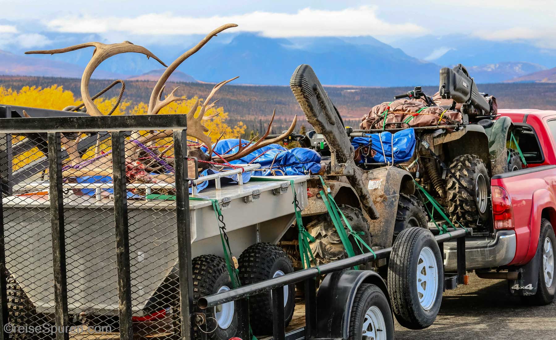 Erfolgreiche Karibujagd